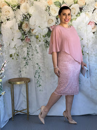 Geraldine Blush Lace Dress