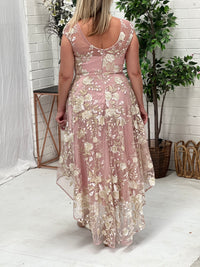 Ria Blush Embroidered Evening Dress