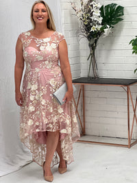 Ria Blush Embroidered Evening Dress