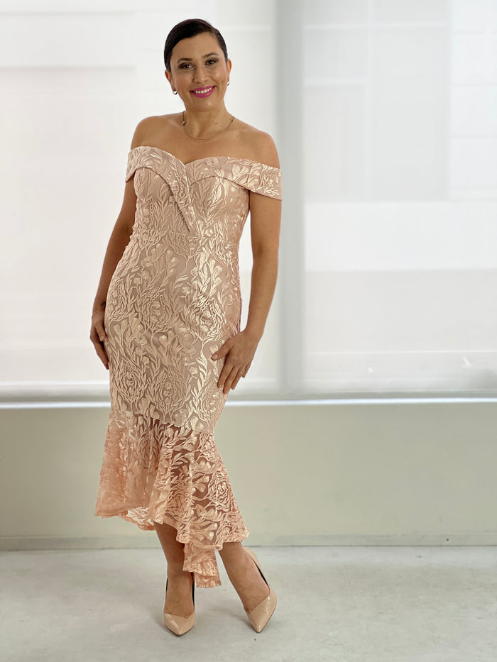 Somee Blush Embroidered Gown