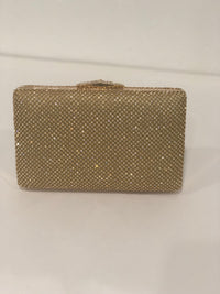 Diamonte Evening Clutch