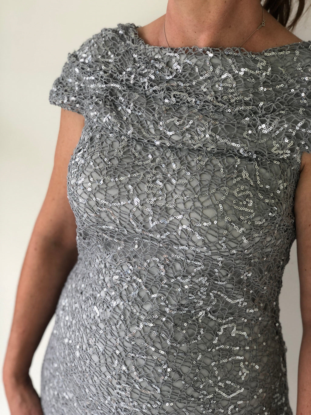 Rosmin Silver Evening Dress – Dressxox