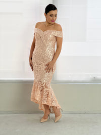 Somee Blush Embroidered Gown